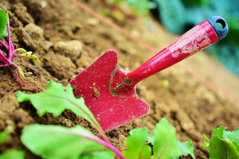 sasu-SANARY SUR MER-min_gardening-2448134